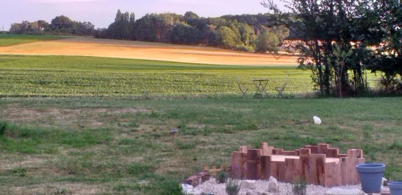 La Berrycurienne Proche Du Zoo De Beauval Saint-Aignan Avec Sdb, Wc Et Spa Privatif Pour Chaque Chambre Luçay-le-Mâle Dış mekan fotoğraf